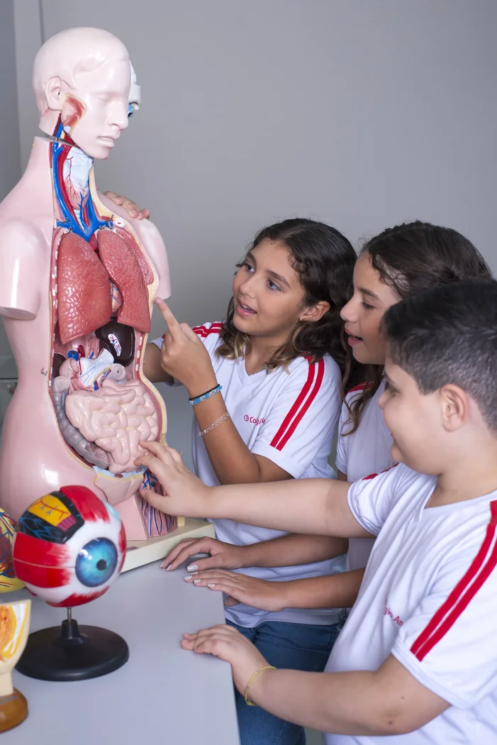 Estudantes do Colégio Anchieta estudando anatomia